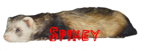 Spikey